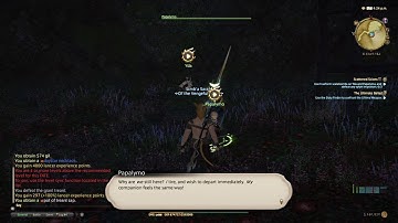 FFXIV 2.3 Quests - Scattered Scions