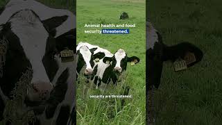💚 One Health: Protecting People, Animals & the Planet | EFSA