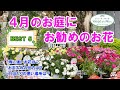 【BEST5シリーズ】4月のお庭を彩るお花のご紹介♪【雨に強いお花・日陰に強いお花など】