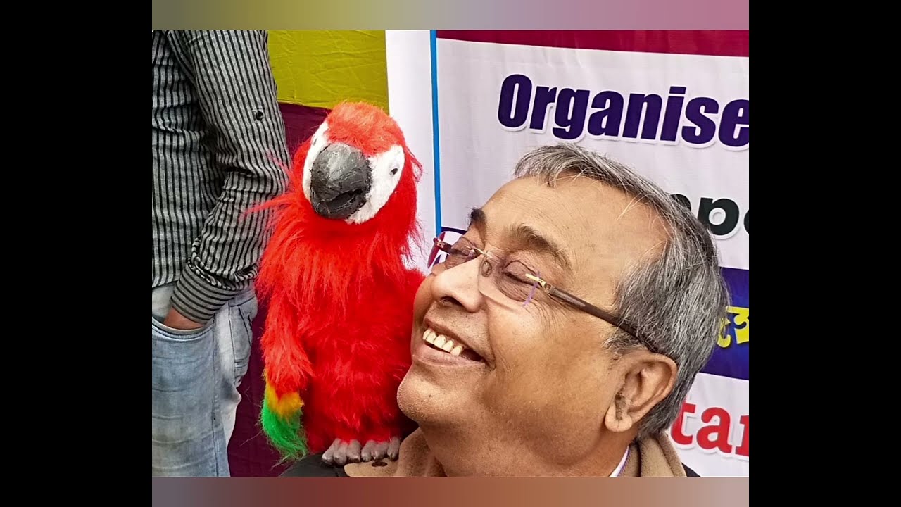 ventriloquism talking parrot // india's first hand free operated doll