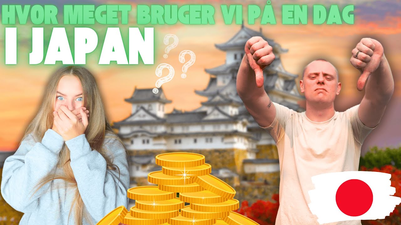 Hvad bruger vi på en dag i Japan??
