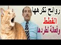 طرد القطط روائح تكرهها القطط وتبعدها فورا من المكان