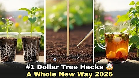 Dollar Tree #1 Garden Hack| A whole new way of gardening 2026