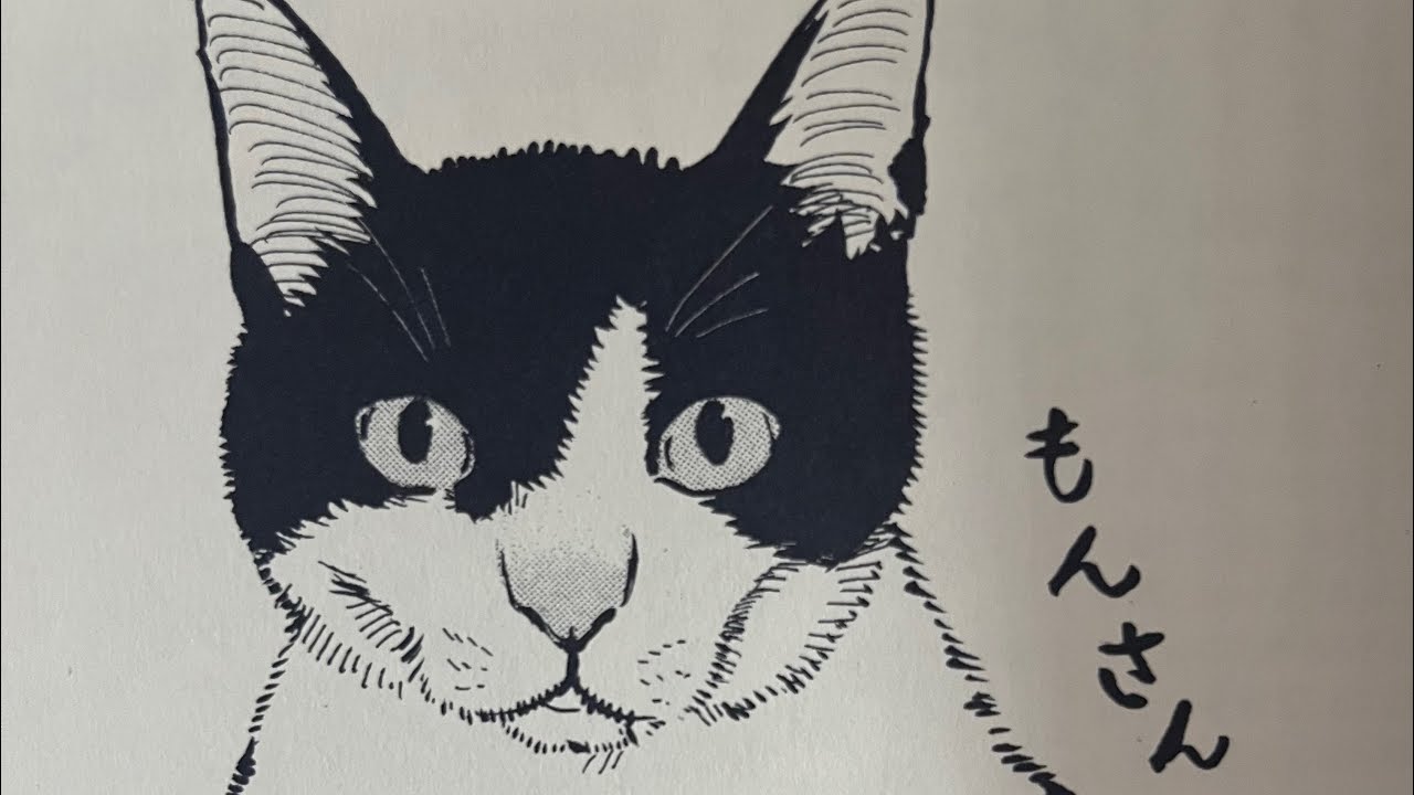 Junji Ito Lost Masterpieces - Cat Sketch 伊藤潤二拾遗档案- 猫咪签