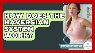 How Does The Haversian System Work? - Osteoporosis Support Network