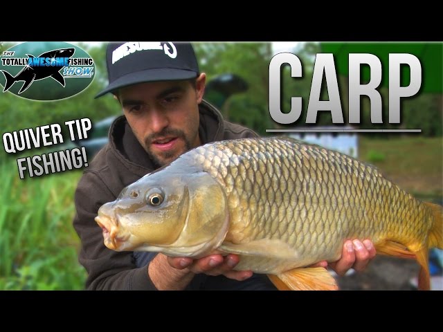 Carp Fishing with a Quivertip rod