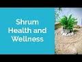 Sound Meditation Class at Shrum Health and Wellness