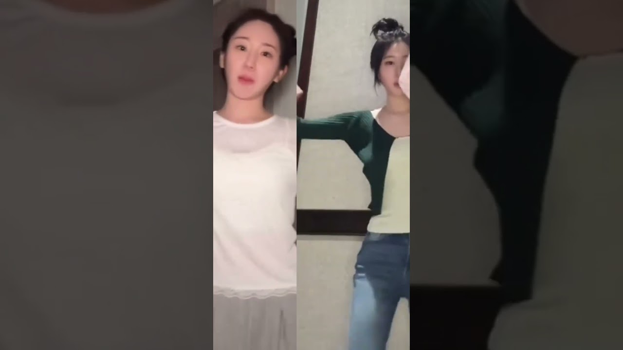 CHAESIS version 🦊🐻 