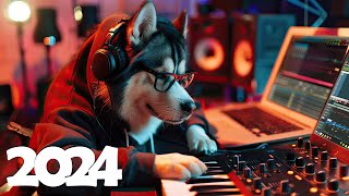 Music Mix 2024 🎧 EDM Mix of Popular Songs 🎧 EDM Gaming Music