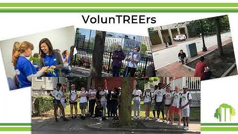 How to Inventory a Boston Street Tree: Introduction (Video 1 of 7)