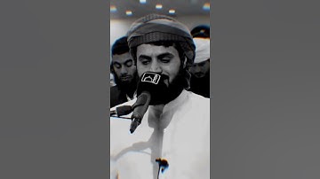 قرآن الكريم بصوت رعد محمد الكردي اجمل حالات واتس اب دينية سورة النازعات فيديو قصيره 🤍🌿