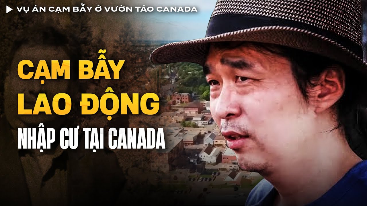 Vụ Án Cạm Bẫy L.ừa Đ.ảo Nhập Cư Ở Vườn Táo Canada | Vụ Án Có Thật