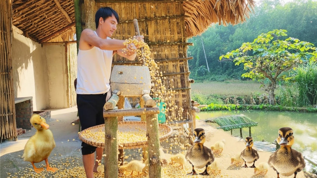 To sustain life in the countryside: I restored the hand-crank grain grinder back again