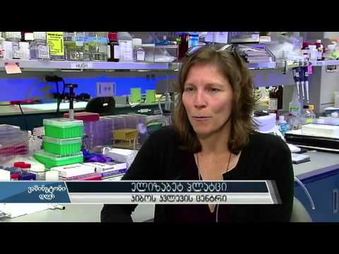 ამერიკაში კიბოს კვლევების მასშტაბები გაიზრდება