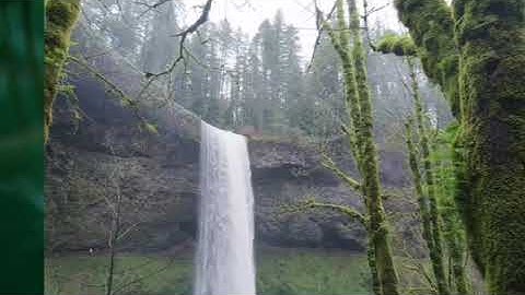 #سورة الفاتحة بصوت الشيخ صلاح بو خاطر