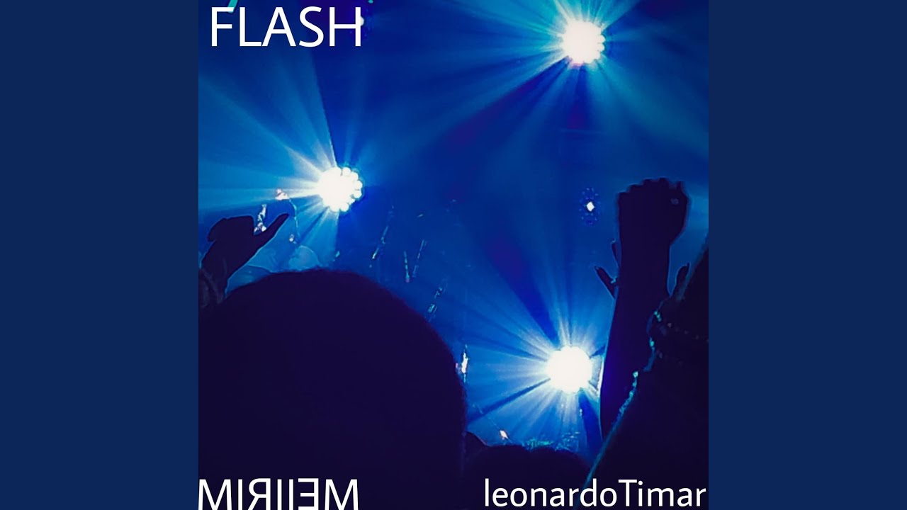 FLASH (feat. leonardoTimar)
