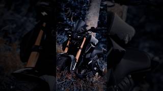 Yamaha MT-15 v3 monster #shorts @rajaspn