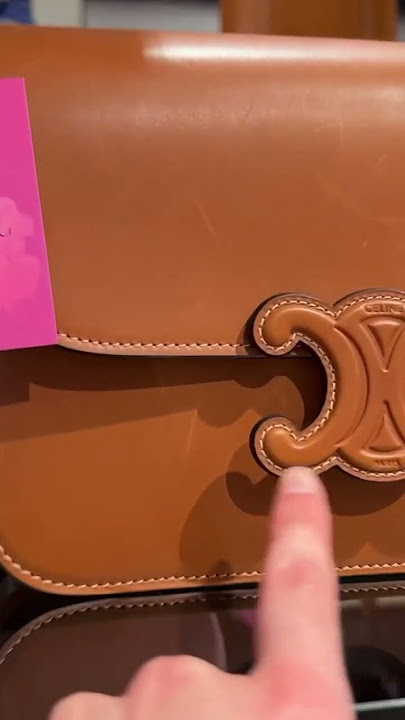 Celine Triomphe Canvas Lambskin Wallet On Strap Tan – STYLISHTOP