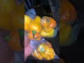 Guess the type of food?#marketrunswithnaza #market #youtubeshorts #relatable #viral #contentcreator