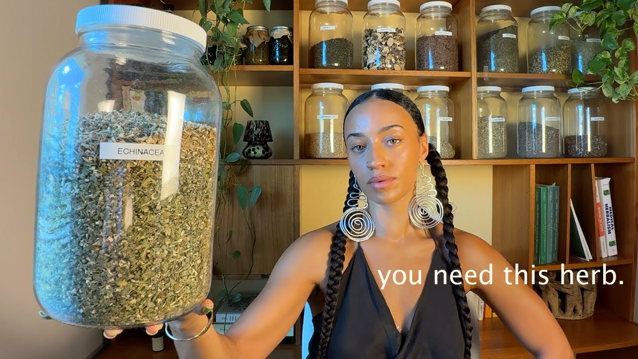the ultimate remedy for cold + flu season | 10 minutes of herbalism ...