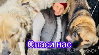 Спасите наши души.