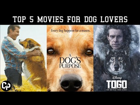 TOP 5 MOVIES FOR DOG LOVERS || Every Dog Lover must watch || - YouTube