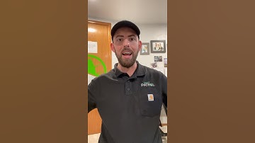 How to remove squirrels from attic - 1 minute summary