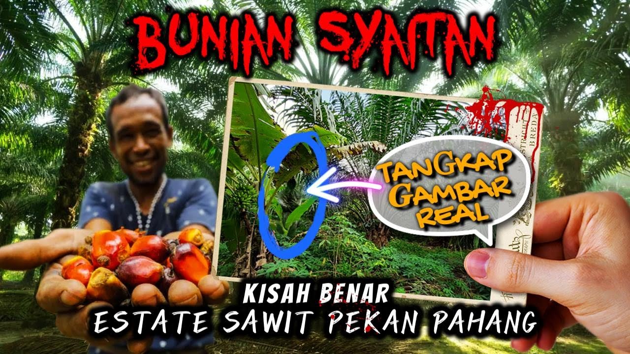 Gambar BUNIAN SETAN REAL Estate Sawit 🔞 Pekan Pahang Kisah Benar