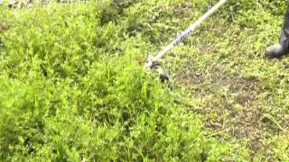 TSUMURA Ｗカバー