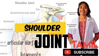 shoulder joint anatomy  , ligaments, artoculating surfaces, clinical anatomy, shoulder dislocation