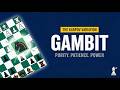 Caro-Kann Defense Karpov Variation - Best Chess Openings for Black