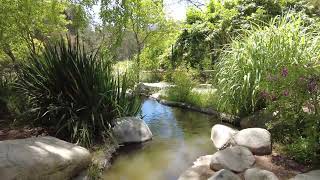 Descanso Gardens La Canada Flintridge