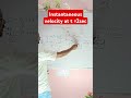 Instantaneous velocity at t=2sec#viral#trending#shorts#phy#class11physics