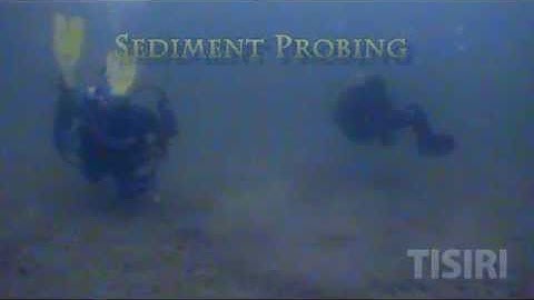 Artificial Reef Site Selection