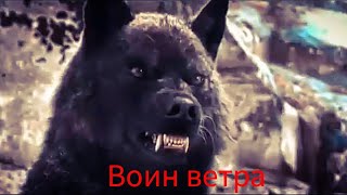 Воин Ветра