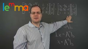 Linear Algebra 11n: The Inspired Idea of the Matrix Inverse