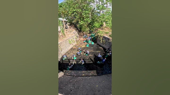 We're cleaning hundreds of rivers daily in East Java to prevent plastic from reaching the ocean! 🌊