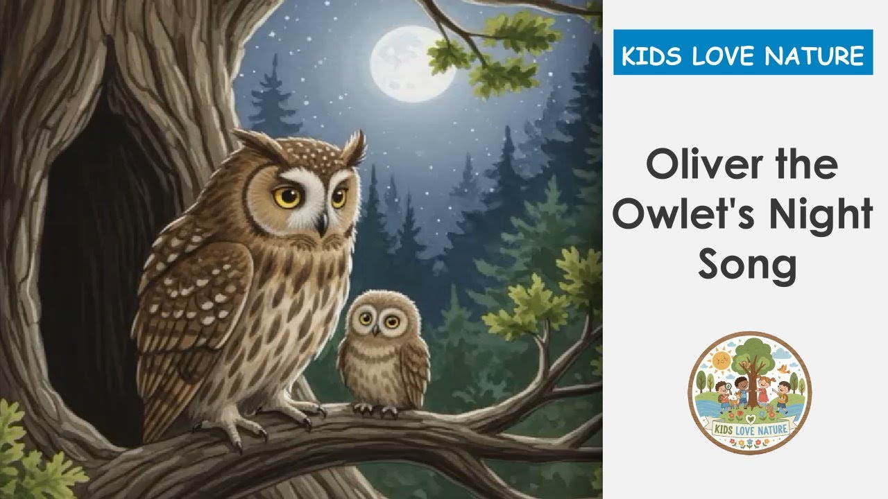 Baby Owl Life Cycle: Oliver the Owlet's Silent Flight & 360 Head! (Owl Facts for Kids)
