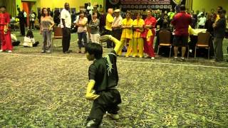 Tinh Luat Wushu, Long Fist, Chris Le