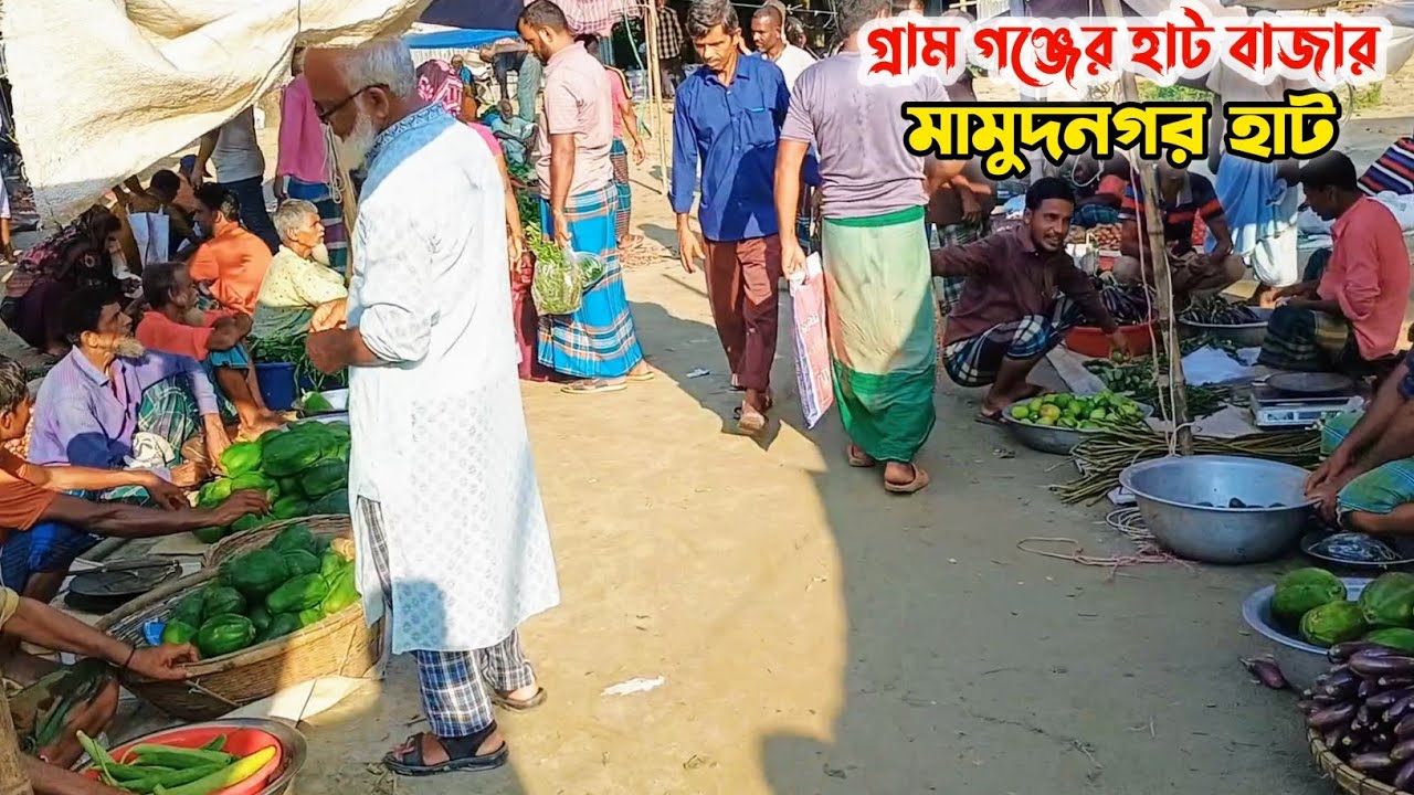 গ্রাম গঞ্জের হাট বাজার | মামুদনগর হাট | নাগরপুর, টাঙ্গাইল - YouTube