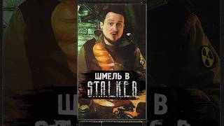 ШМЕЛЬ В S.T.A.L.K.E.R. #shorts #игры #игрынапк #stalker