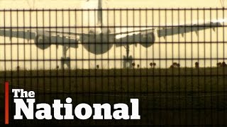 Is Flying Becoming More Dangerous?