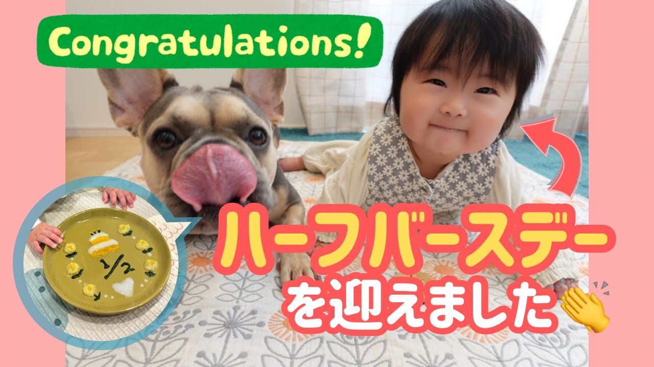 フレブルとお祝いするハーフバースデー！手作り離乳食プレートを狙うフレブルお姉ちゃんの顔がガチハンターすぎた🙄