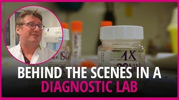 A look behind the scenes in a diagnostic lab