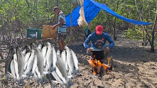SOBREVIVÊNCIA ensolados NA ILHA @nasaventuras #fishing 