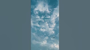 افلا ينظرون الى الابل كيف خلقت   -عبدالباسط عبدالصمد - سورة الغاشية