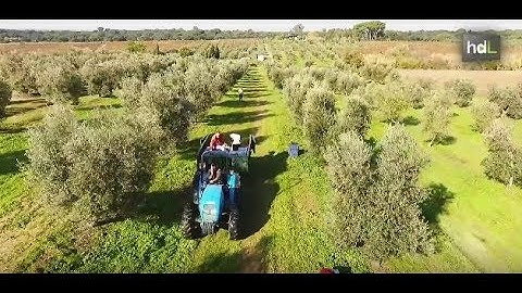 HDL Ec2ce, inteligencia artificial y big data para combatir plagas en el sector agrario