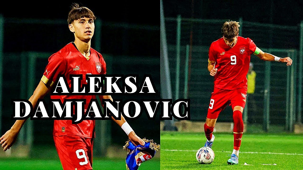 Aleksa Damjanovic The future of the Serbian national team