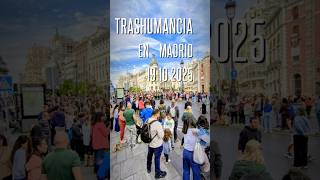 Sounds Trashumancia 2025, Madrid, Spain 19.10.2025