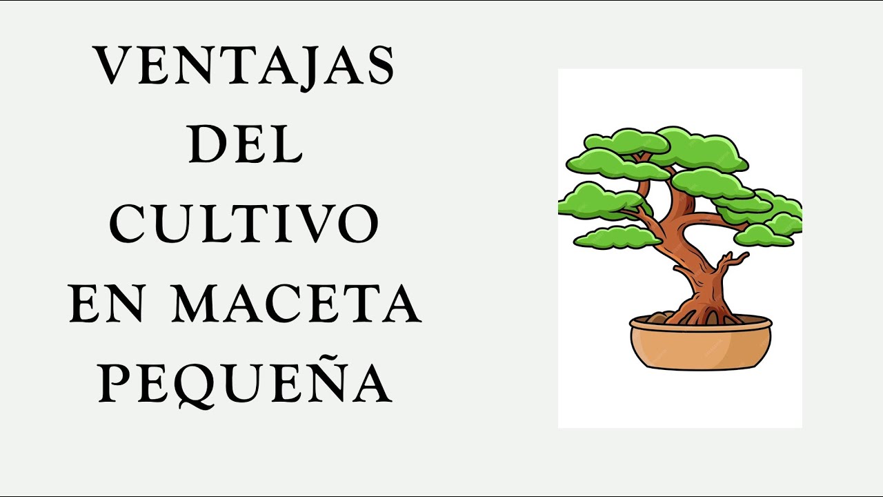 VENTAJAS DEL CULTIVO EN MACETA PEQUEÑA
